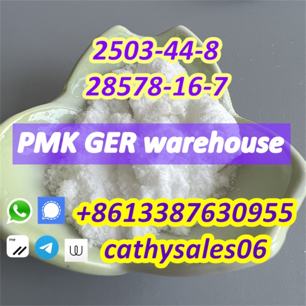 PMK powder/pmk wax Cas 28578-16-7